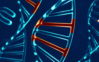 Can the Timing of Inflammatory Marker Testing Predict Preeclampsia Risk in Women with Obesity?