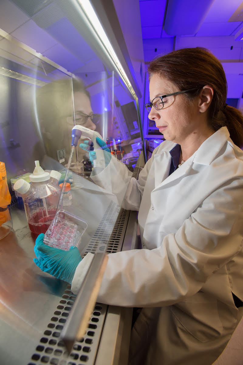Catherine O'Connell in the lab.jpg (98 KB)