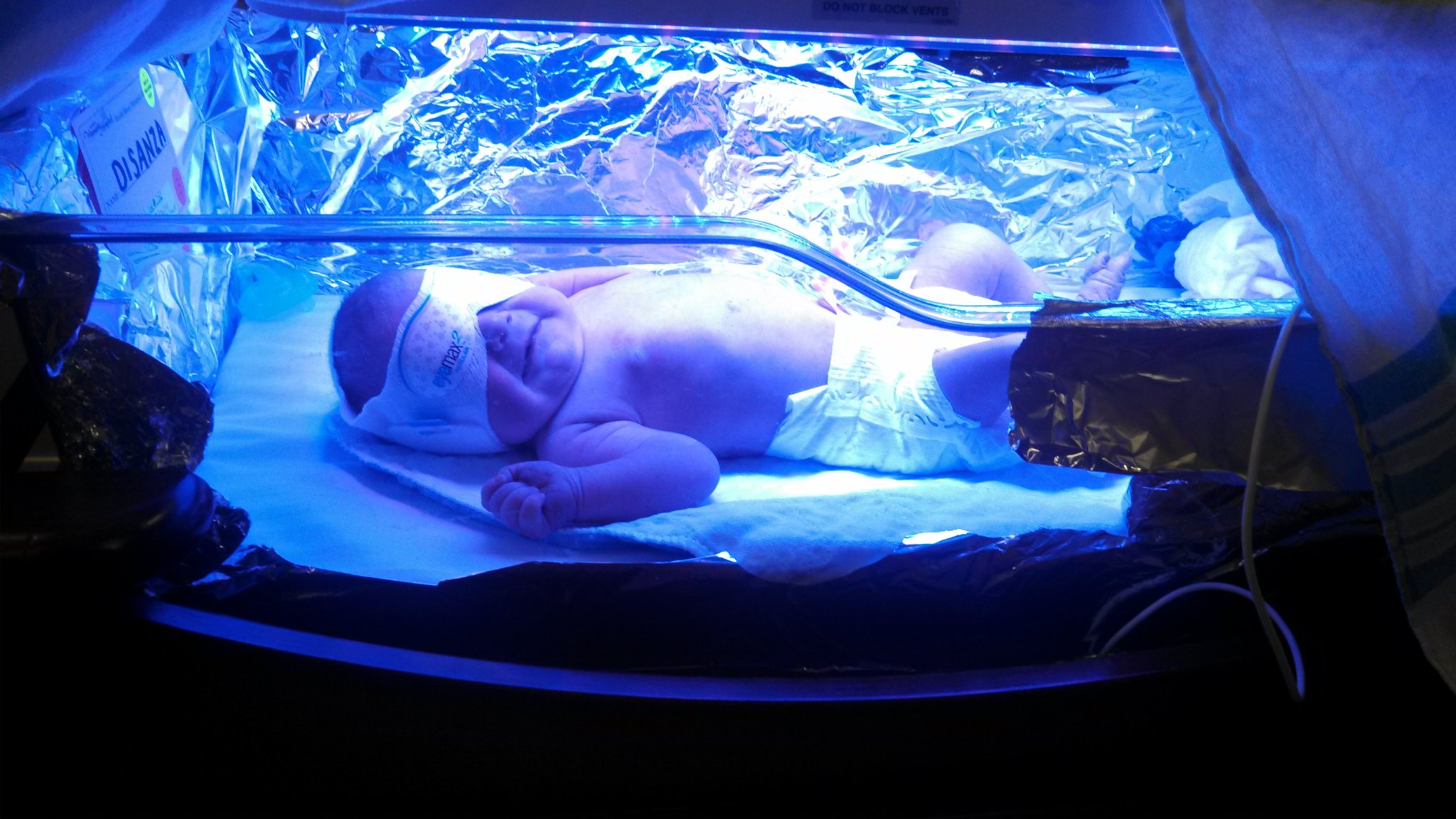 liliana-nicu2.jpg (321 KB)