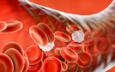 Further research to investigate protein markers SFLT and PlGF for preeclampsia prediction