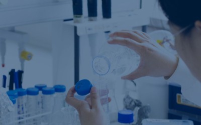 New Preeclampsia Research Funded to Investigate Genetic Targets to Develop Potential Therapeutics
