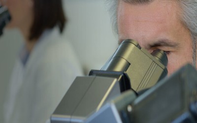 Preeclampsia Foundation Seeks Letters of Intent  for 2023 Peter Joseph Pappas Research Grants