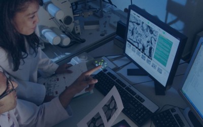 2022 Preeclampsia Foundation Vision Grant Awardees Announced